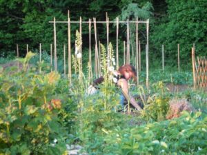 du_potager_a_la_table_1